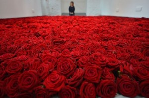 Создать мем: rose, 1001 роза, букет из 51 розы