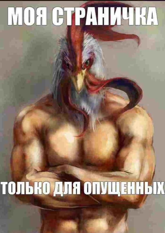 Create meme: rooster , man cock, jock chicken