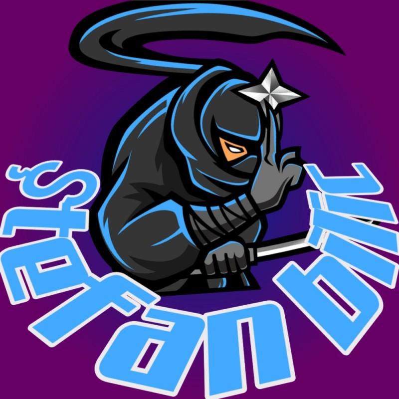 Create meme: ninja , ninja vector, logo ninja