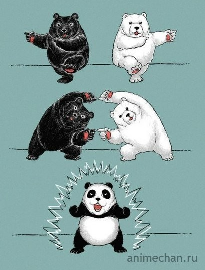 Create meme: panda and polar bear, panda and bear meme, panda and bear