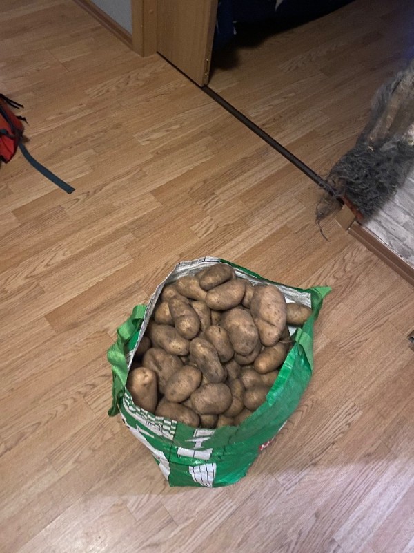 Create meme: potatoes , potatoes large, seed potatoes