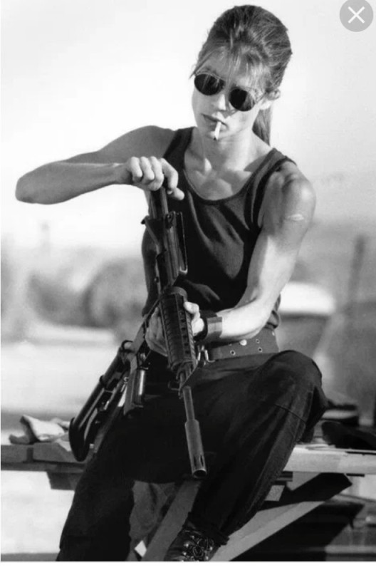 Create meme: Linda Hamilton, Terminator 2: Judgment Day, Linda Hamilton with a machine gun