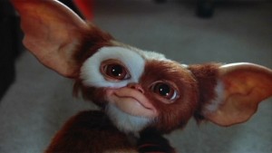 Create meme: gremlins movie 1984, gremlin gizmo photo, gremlins cute movie