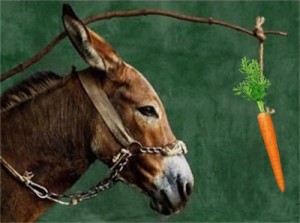 Create meme: carrot, slave, a donkey with a carrot uba