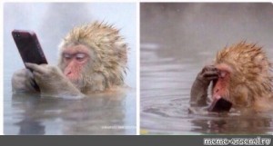 Создать мем: обезьянка с телефоном, обезьяна под водой мем, обезьяна в воде мем