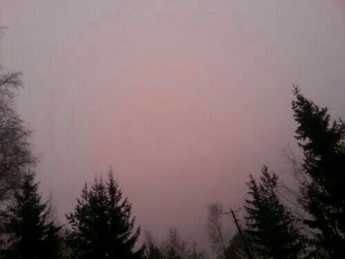 Создать мем: слоистый туман, фиолетовое дерево, закат