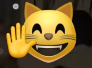 Create meme: Emoji, seals Emoji
