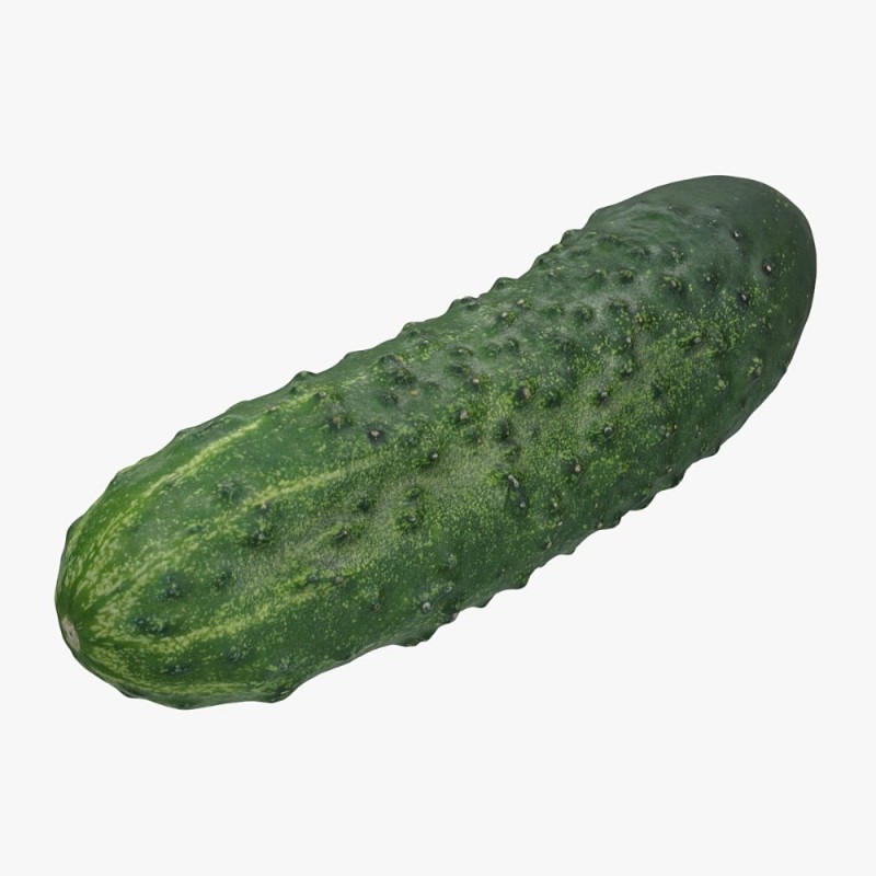 Create meme: cucumber on a transparent background, common cucumber, cucumber on white background