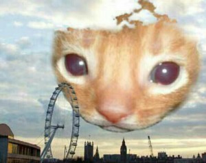 Create meme: cute cats funny, telegram channel
