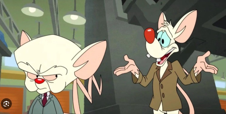 Create meme: pinky and brain , pinky and brain take over the world, cartoon pinky and brain