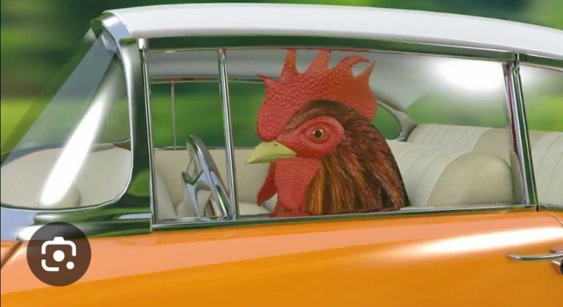 Create meme: chicken driving, rooster car, rooster driving