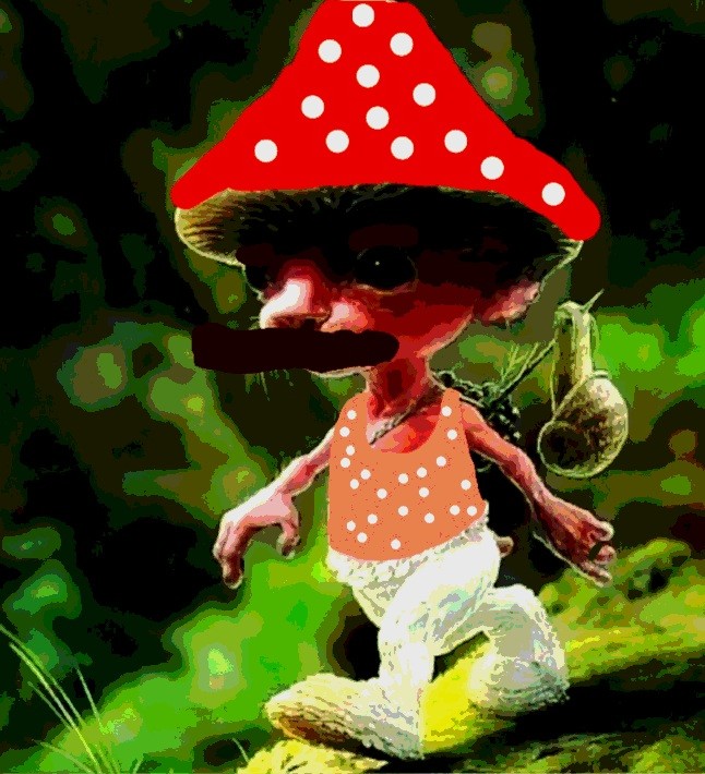 Создать мем: грибы лес, мухомор красный, человек
