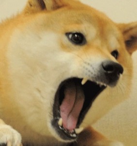 Create meme: doge, doge meme, Shiba inu dogs