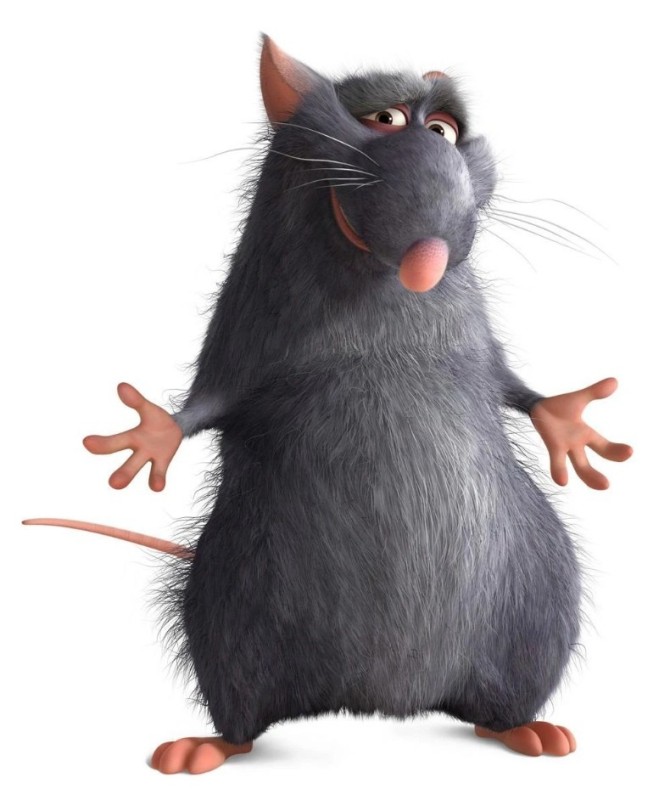 Create meme: ratatouille is a hob rat, ratatouille mouse, Ratatouille rats