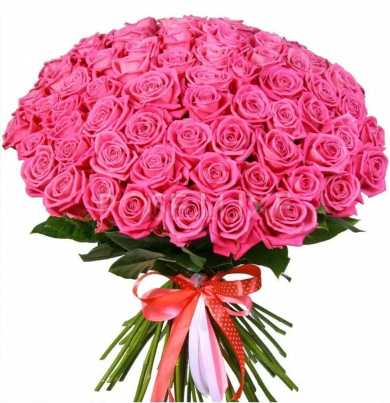 Create meme: 101 pink rose, 101 rose , roses bouquet is large