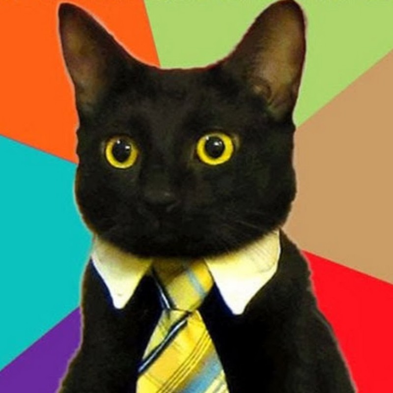 Создать мем: деловой котенок мем, котик в галстуке, мем кот