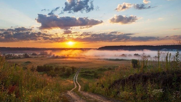 Создать мем: поле закат, рассвет природа, красивые русские пейзажи