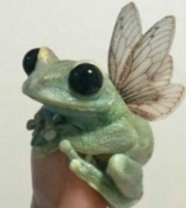 Create meme: small animals, frog, frog