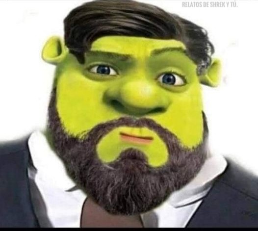 Create meme: fictional character, shrek and fiona, Shrek meme 