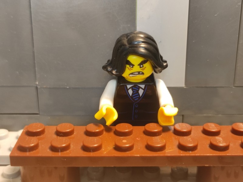 Create meme: lego , lego practice, lego sirius black