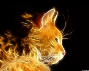 Создать мем: неоновые котики картинки, кот в огне, неоновые коты