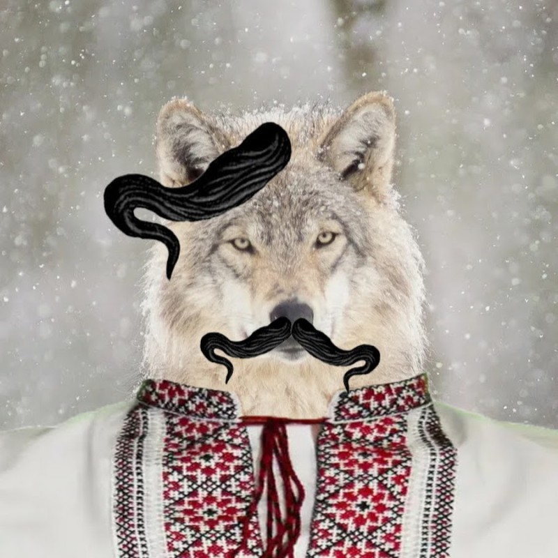 Create meme: wolf , wolf wolf, the Chechen wolf