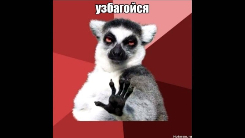 Create meme: uzbagoysya , lemur uzbagoysya original, lemur uzbagoysya 