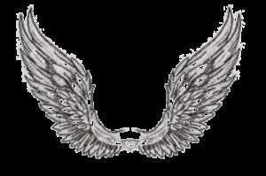 Создать мем: necklace, angel wing, eagle
