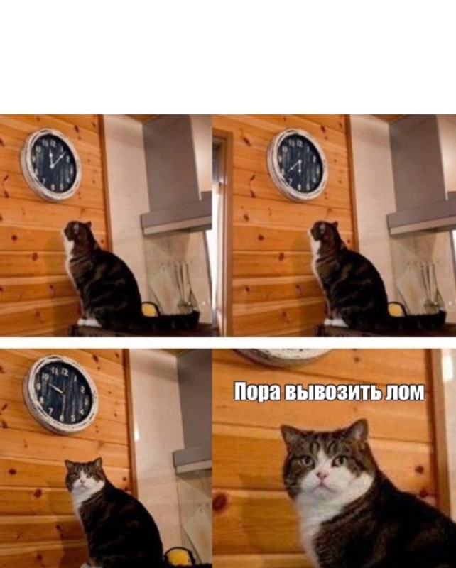 Создать мем: кот и часы мем, мем с котом и часами пора, мем с котом и часами