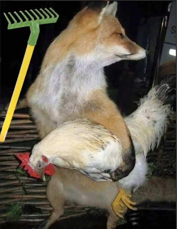 Создать мем: чучело лисы, смешное чучело лисы, лиса