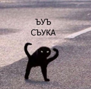 Create meme: black cat joy, black cat meme, joy, Shuka