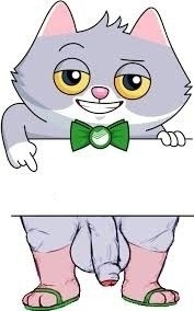 Create meme: sber cat stickers, stickers bercot, bercot and Kusa