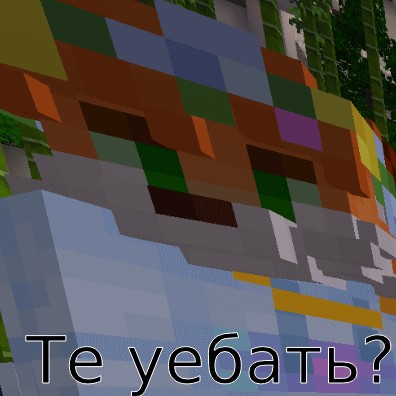 Create meme: minecraft , fun in minecraft, a cat in Minecraft