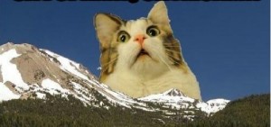 Создать мем: удивление кота, удивленный котик, за горами за лесами ахуевший кот с усами