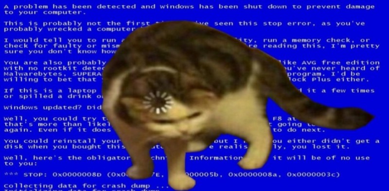 Создать мем: загрузка кот, кот, экран