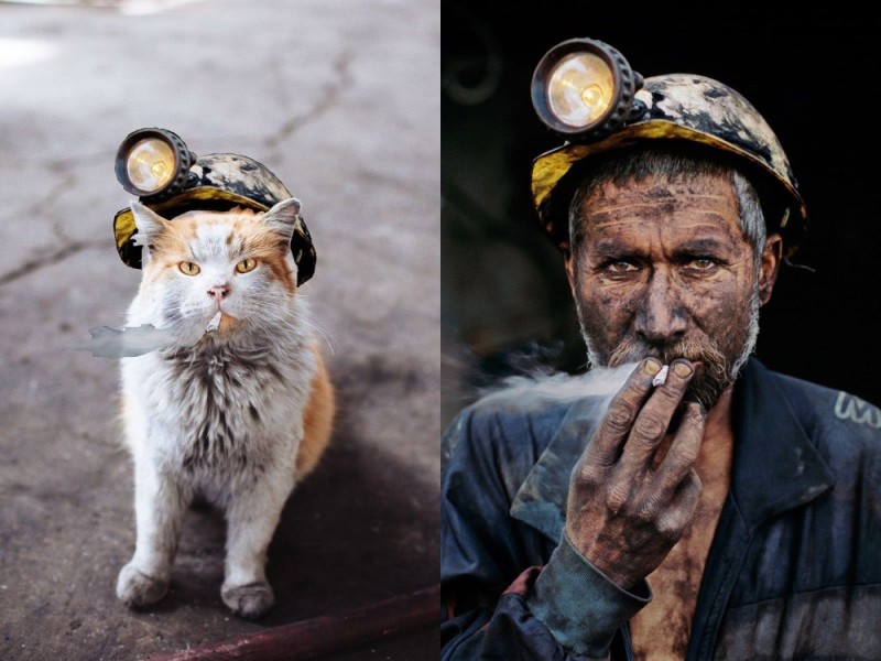 Создать мем: кошка в каске, шахтер прикол, кот работяга