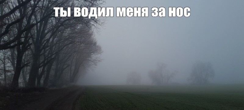 Create meme: The road in the fog, the trick , foggy morning