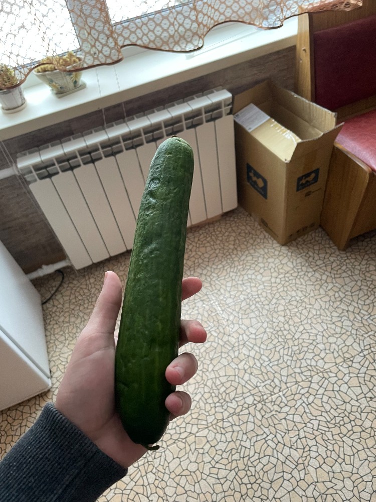Create Meme Cucumber Large Cucumber Pictures Meme