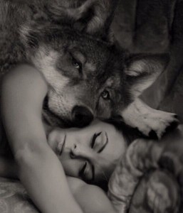 Создать мем: волк защищает девушку, волк спокойной ночи, волки эстетика любовь