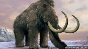 Create meme: mammoth, the woolly mammoth