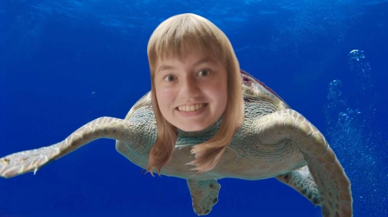 Создать мем: sea turtle, черепаха с двумя головами, головастая черепаха