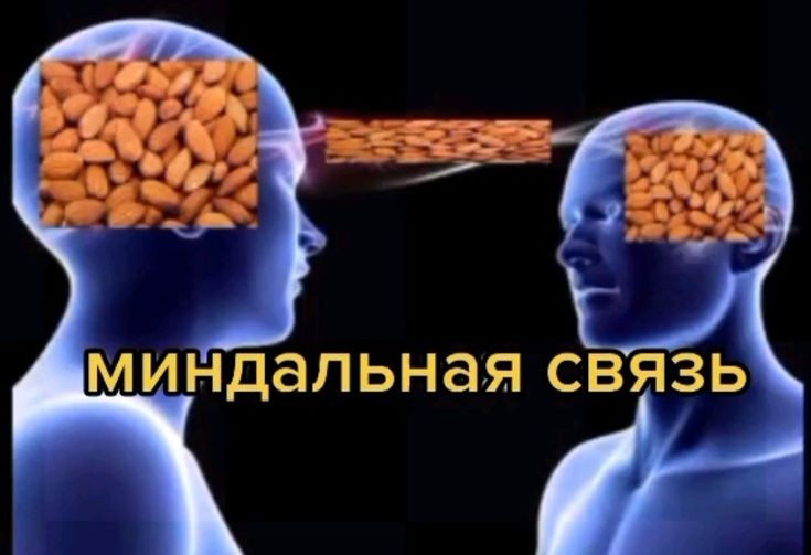 Create meme: almond connection, mental connection the almond meme, The almond connection meme