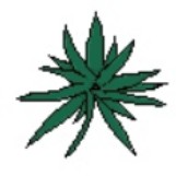 Create meme: hemp leaf, marijuana leaf, marijuana patch