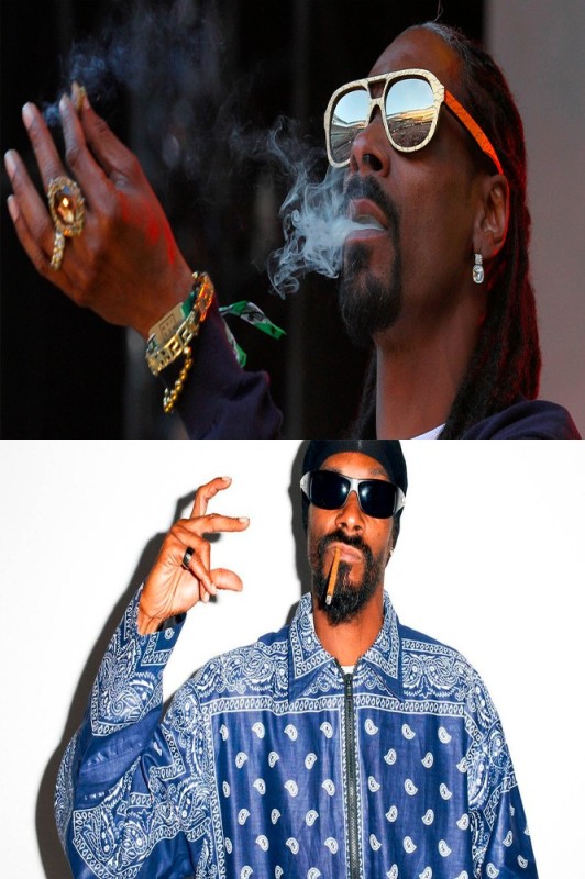 Create meme: Snoop Dogg weed, Snoop Dogg with pot, Snoop Dogg smokes