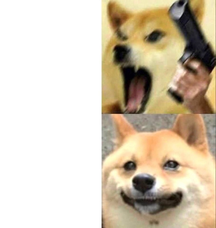 Create meme: doge meme , meme , memes 