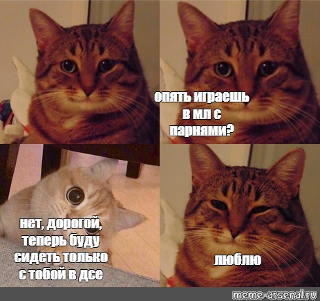 Кот мем игра. Котики мемы комиксы. Мемы о котах. Дорого Мем с котом. ОУ Мем кот.