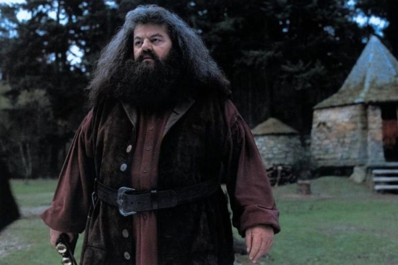 Create meme: Hagrid from Harry, hagrid from Harry Potter actor, Hagrid from Harry Potter