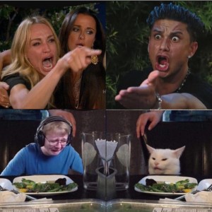 Создать мем: cat meme, cat from woman yells at cat, your meme