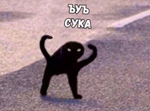 Создать мем: кот мем, Кошка, черный кот