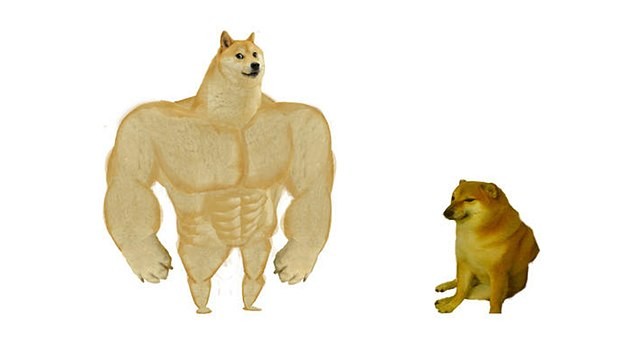 Create meme: the pumped-up dog from memes, doge is a jock, shiba inu meme jock